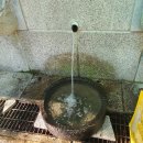 용인중앙공원 이미지