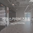 스카이비즈컴퍼니