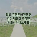 강릉 프렌즈애견펜션 강아지와 매력적인 여행을 떠나보세요!