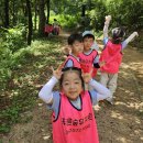 [활동후기]26년 한새봉07월 2주차(숲해설 생태놀이)햇살반 이미지