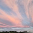 월변마트 이미지