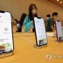 애플코리아 유한회사 이미지