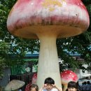 두리농장1 이미지