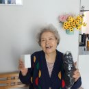 생활안전물품 미끄럼 방지양말 LED 무드 수면등 이미지