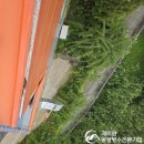 예산도장 이미지