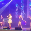 보물세상 이미지