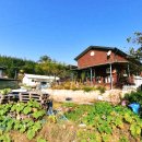 다시면행정복지센터 이미지