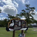 예산황새공원 주차장 | 예산 가볼만한 곳 아이랑 가기 좋은 황새공원