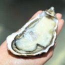 태화물산 이미지