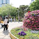 유성 이미지