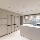 왕버들로 이미지