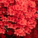 색채 심리 이미지