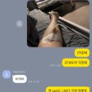 차곡 차곡 모아뒀던 11-12월