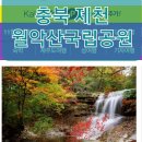 모인여행사 이미지