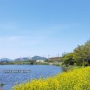 임자 수도 관광안내소 이미지