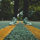 장구의 행정사 이미지