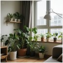 공기청정기 대신 공기정화식물, 우리 집의 작은 습지 | 푸른 아파트 실내 공기 정화 식물, 우리 가족 건강 지키기