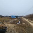 삼오농장 이미지