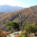 남한산성 이미지