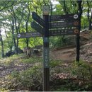 동작충효길 1코스 고구동산길 이미지