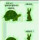토끼와거북이 이미지