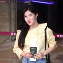 시연