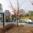 아름동_아름초등학교앞 이미지