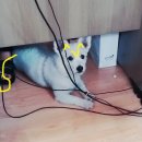 승주상사 이미지