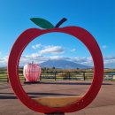 애플관광호텔 | [롯데관광 아오모리 패키지 여행 후기-5] 아오모리...완전정복｜운문노타키·가리비전골·애플파크 리뷰