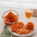 승환농장 이미지