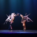 종현농어촌체험휴양마을 이미지