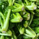 이화돌산갓김치 이미지