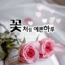 8월 11일 일요일 날씨정보 (입영 14일차) 이미지