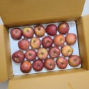 복길농장 | 복길이네농원 꿀부사사과