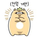 제이제이캣 이미지