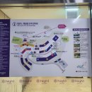 만항곤드레닭집(2호점) | [정선 여행] 하이원리조트로 2박 3일 여행간 후기(일정, 식당 정보 포함)