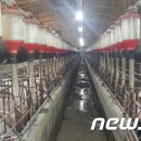 정훈축산 이미지