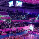 김연경 여자배구 V리그 직관후기 흥국생명 vs 한국도로공사