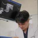 한걸음 동물병원 네이버블로그