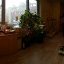 너른숲한의원 이미지