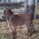 혜성농장 이미지