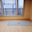 테코디자인 | 피테코 덤벨 후기 가볍게 시작하는 홈트 필수템