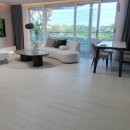 강정동-64 이미지