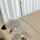 모른골지 이미지