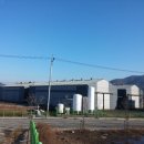 영천산단로 이미지