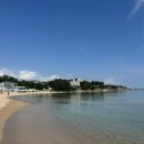 월포해수욕장야영장 | 포항 오도리해수욕장 스노쿨링 평상대여 후기