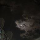 할멈탕수육김밥일곡점