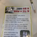 고양이이발관(부천신중동점) 이미지