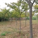 변산농장 이미지