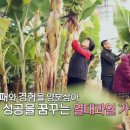 완도농장 이미지